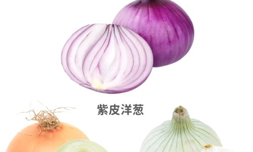 胎羊羔的功效与作用图片专区_胎羊羔的功效与作用是什么专区_胎羊羔的功效与作用网